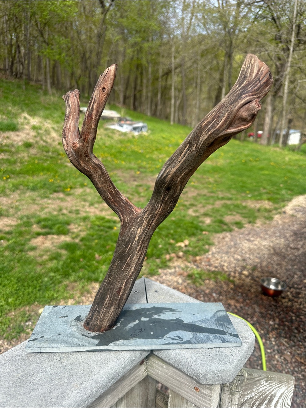 Handcrafted Brown Driftwood-Style Decorative Branch Sculpture - Unbranded
